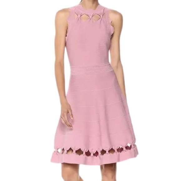 Ted Baker London Cherina Dusty Rose Knit Cutout Skater Fit & Flare Dress Size 3 - Picture 1 of 15
